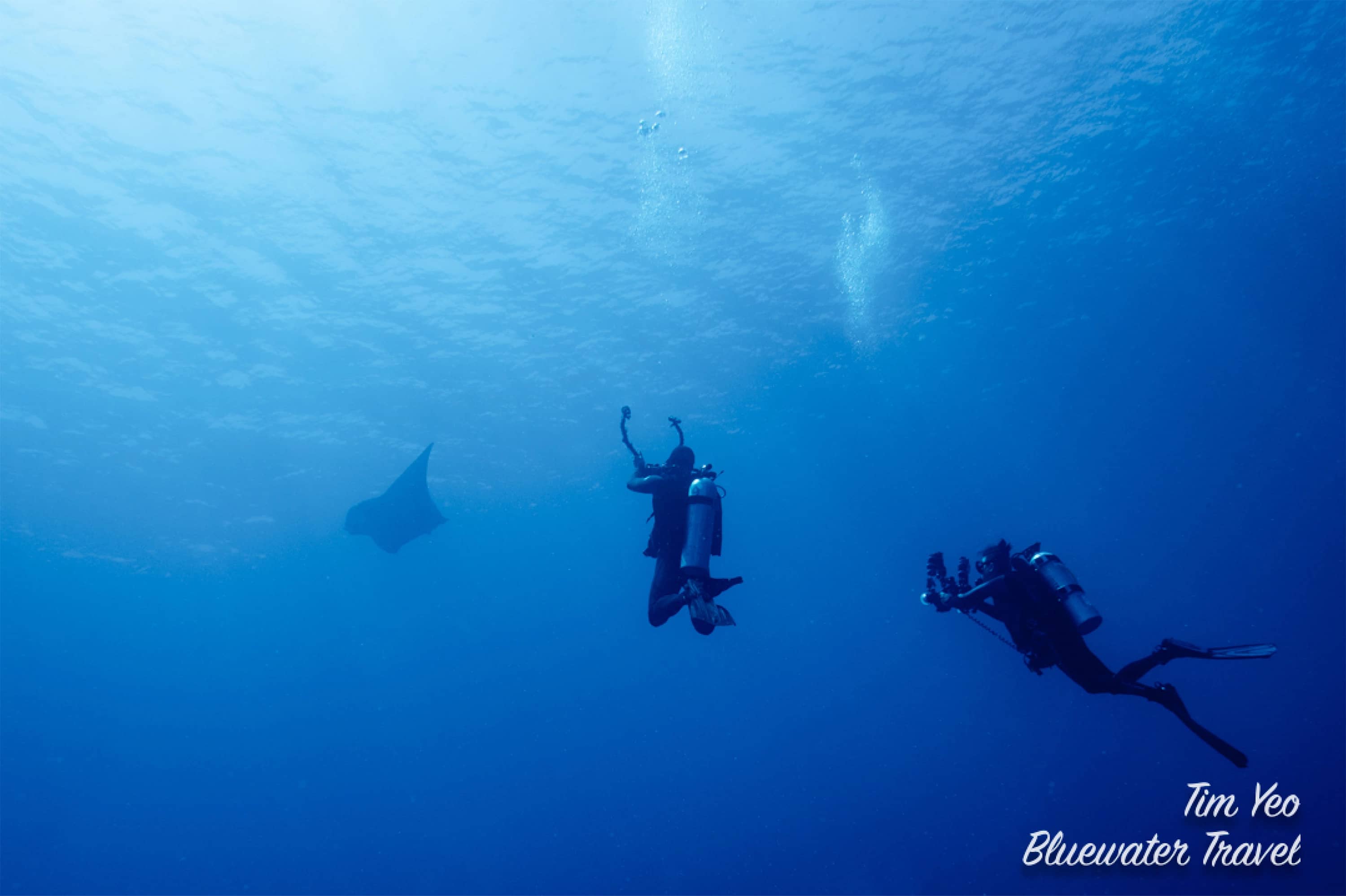 Underwater view of a reef