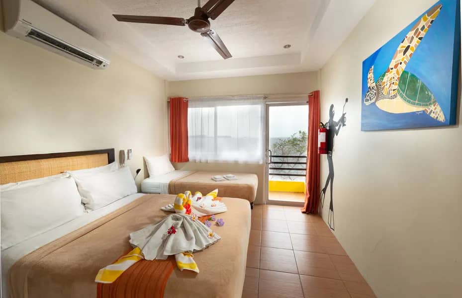 Sea View Superior Rooms - image