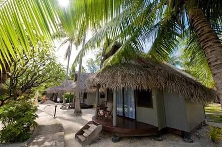 Premium Garden Bungalow - image