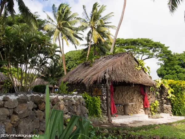 Paradise in the Garden Island of Fiji - image