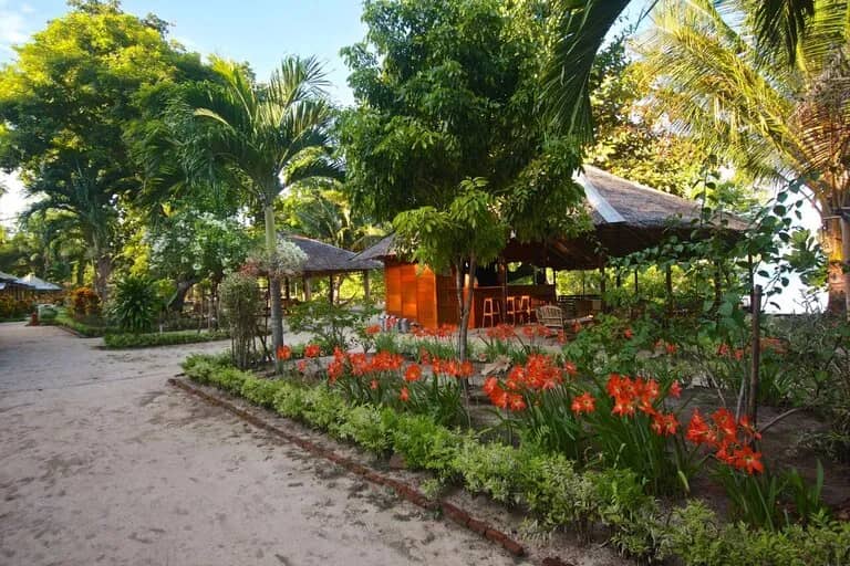 Two Fish Divers Bunaken