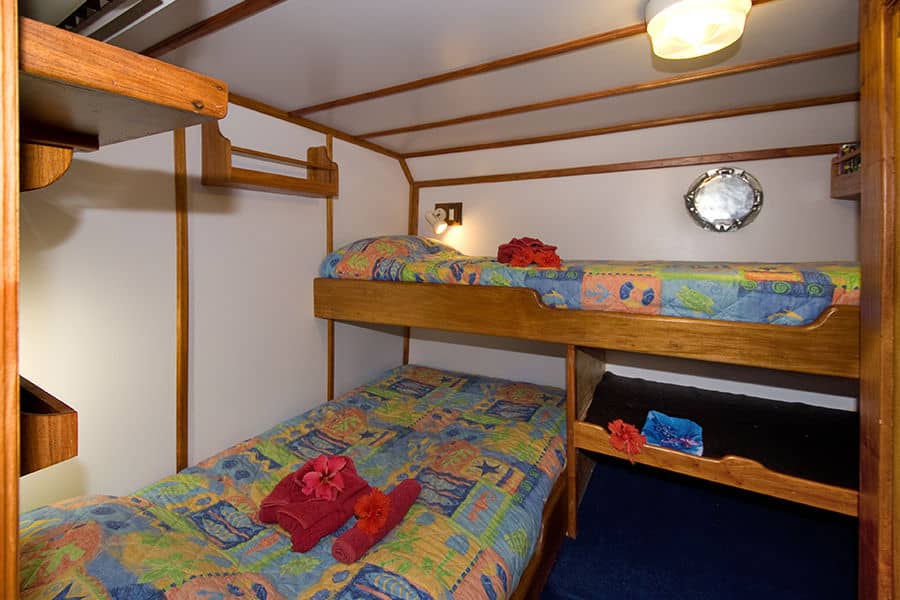 Twin/Double Cabin 3 Lower Deck - image