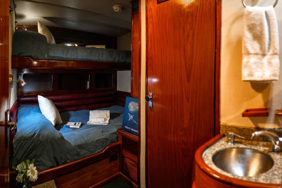 Superior Stateroom Lower Deck - image