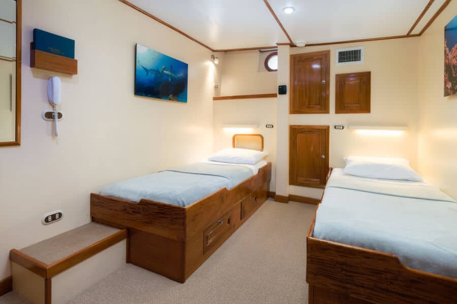 Twin/Double Lower Deck - image