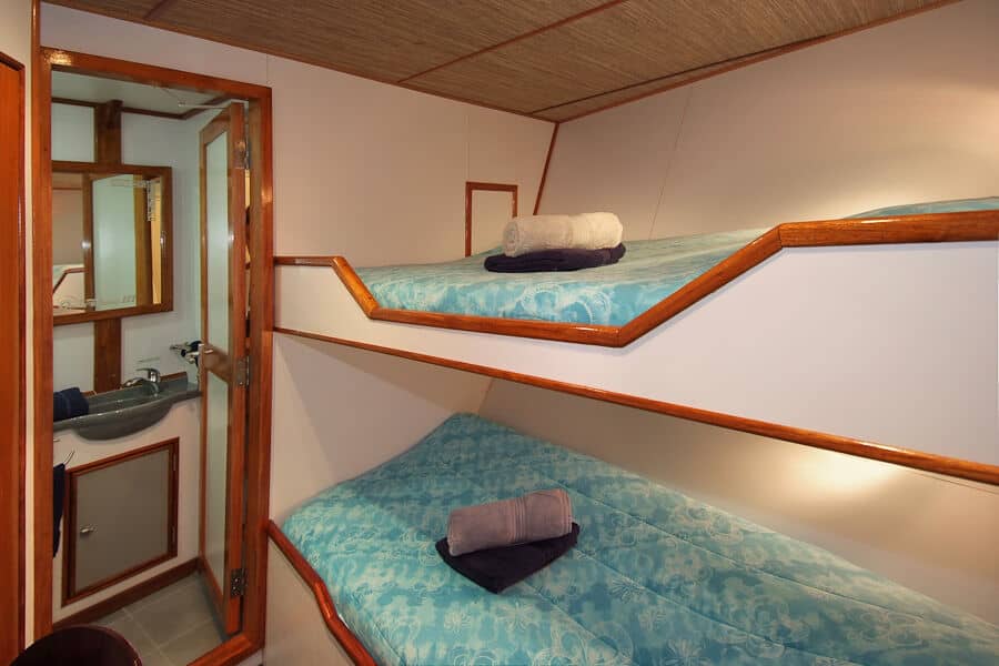 Deluxe Lower Deck - image