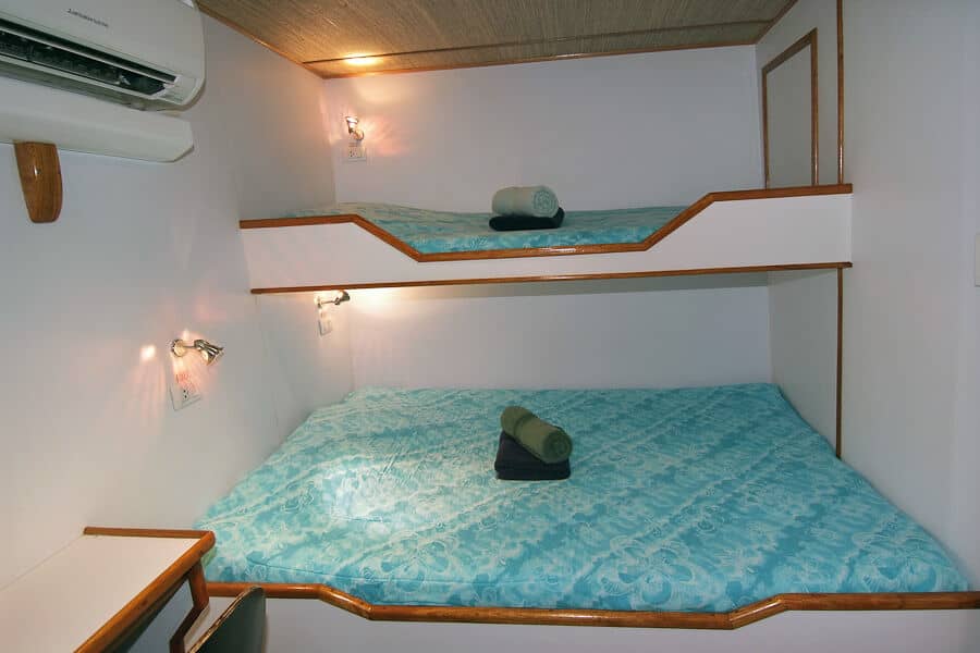 Standard Lower Deck - image