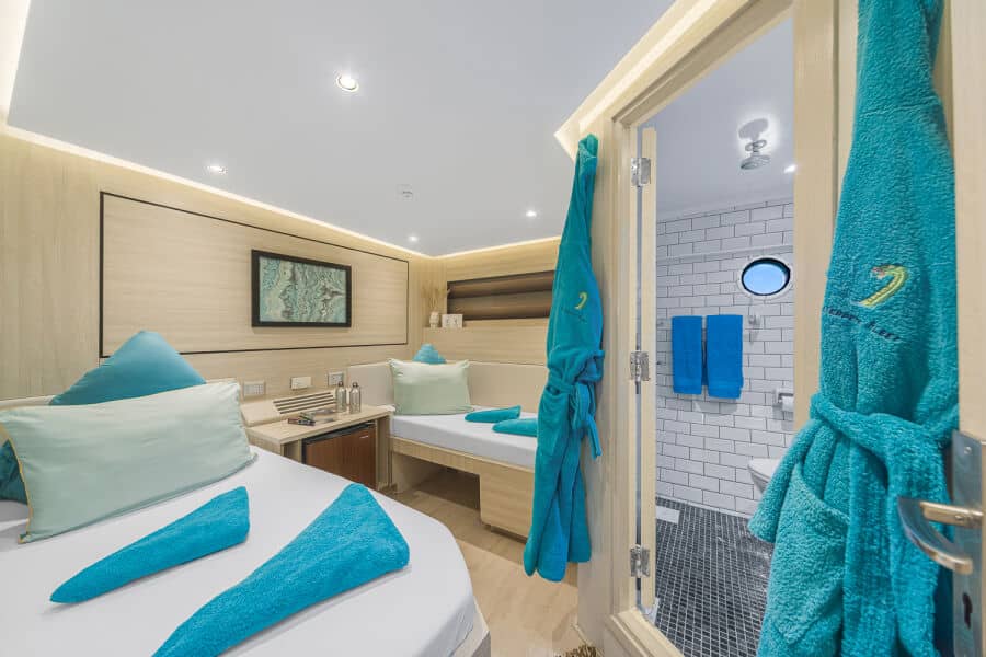 Standard Twin Lower Deck - image