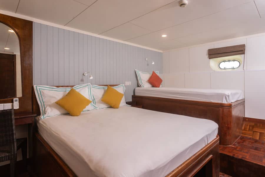 Standard Lower Deck - image