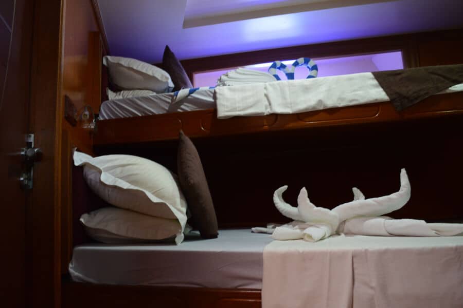 Cabin 4 - Single Lower Deck - image