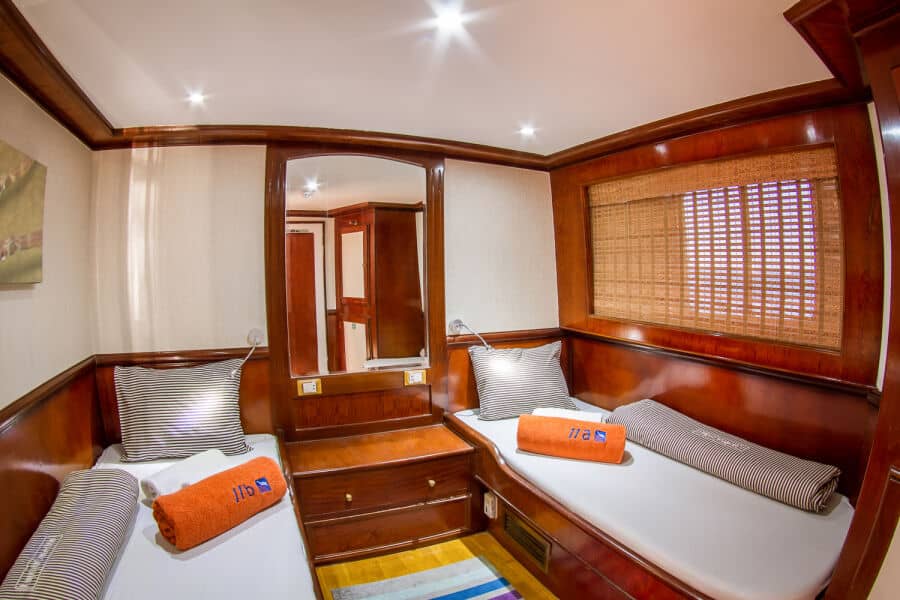 Twin Upper Deck - image