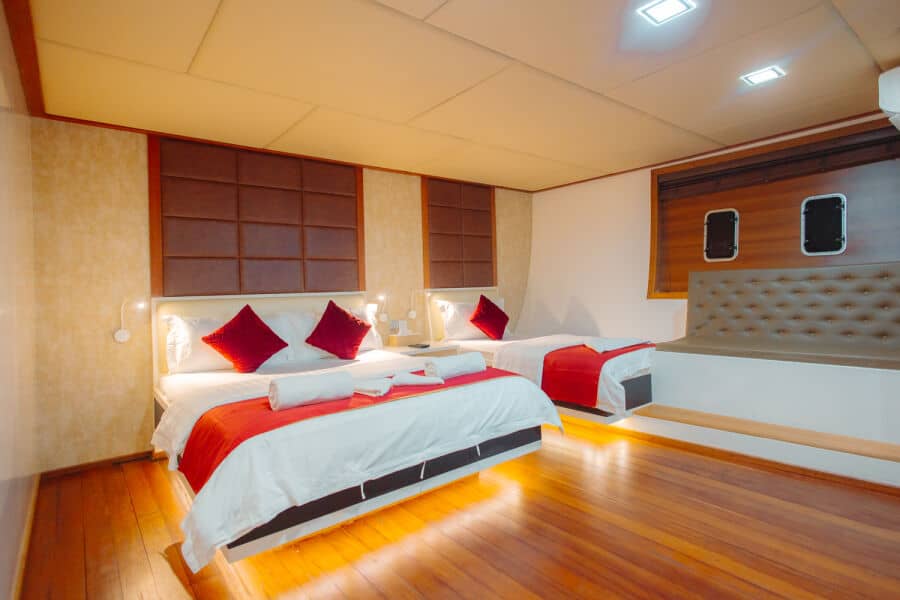 Standard Lower Deck - image