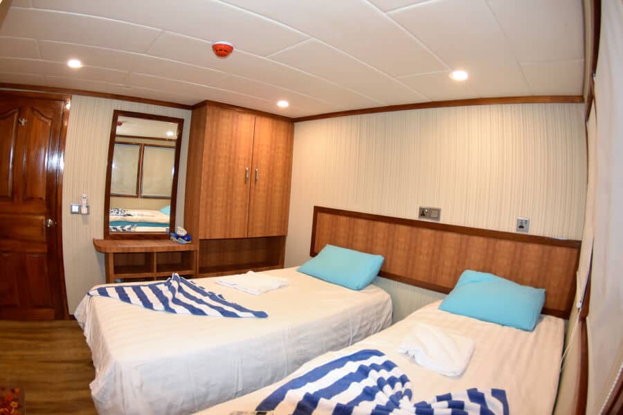 Double Lower Deck - image