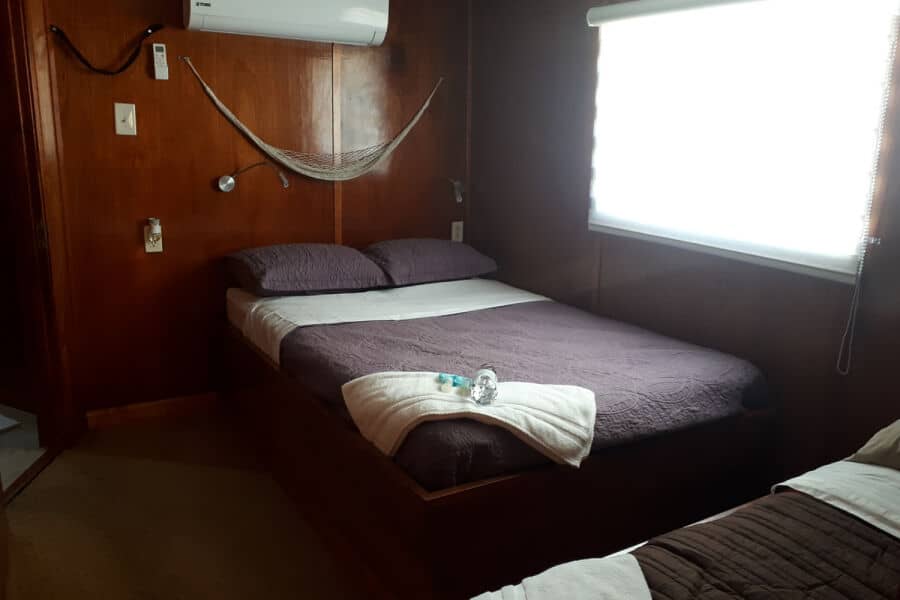 Suite Upper Deck - image