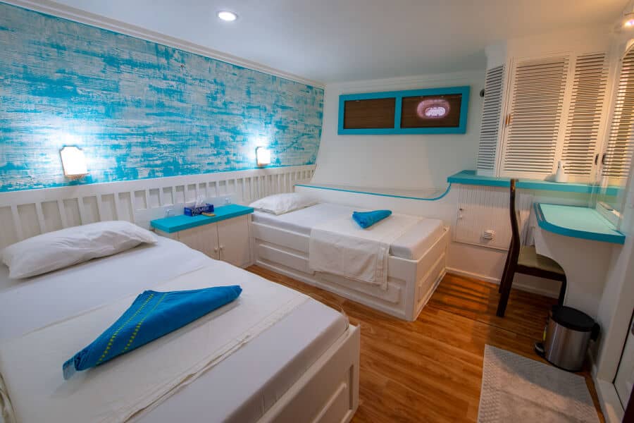 Standard Twin Lower Deck - image