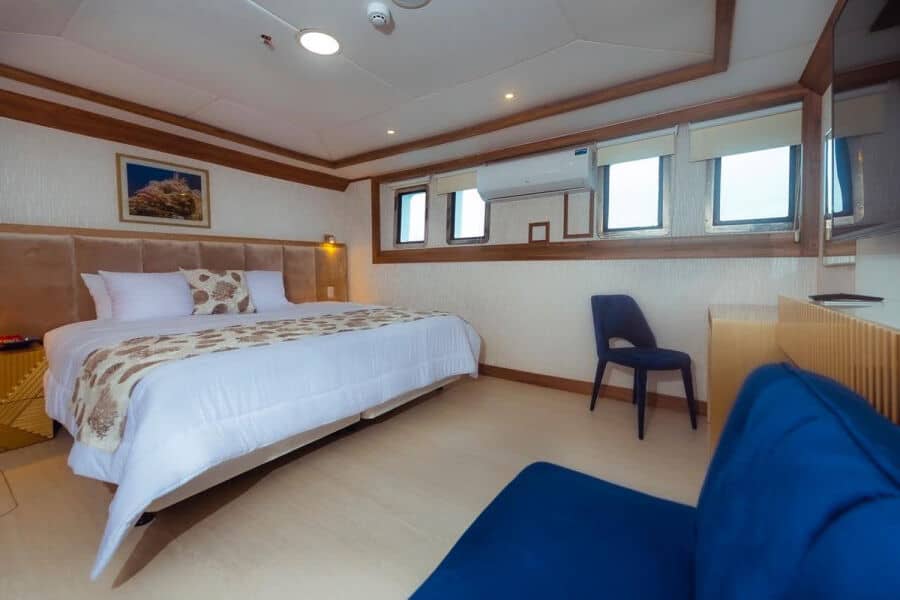 Stateroom Lower Deck - image