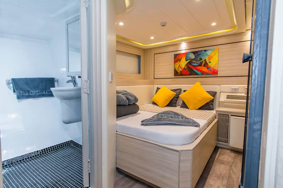 Stateroom Lower Deck - image