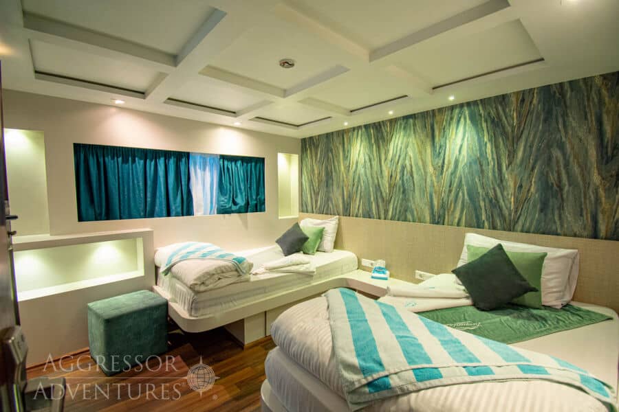 Deluxe Main Deck - image