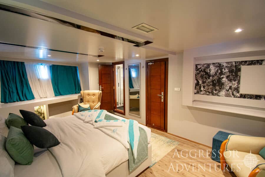 Master Main Deck - image