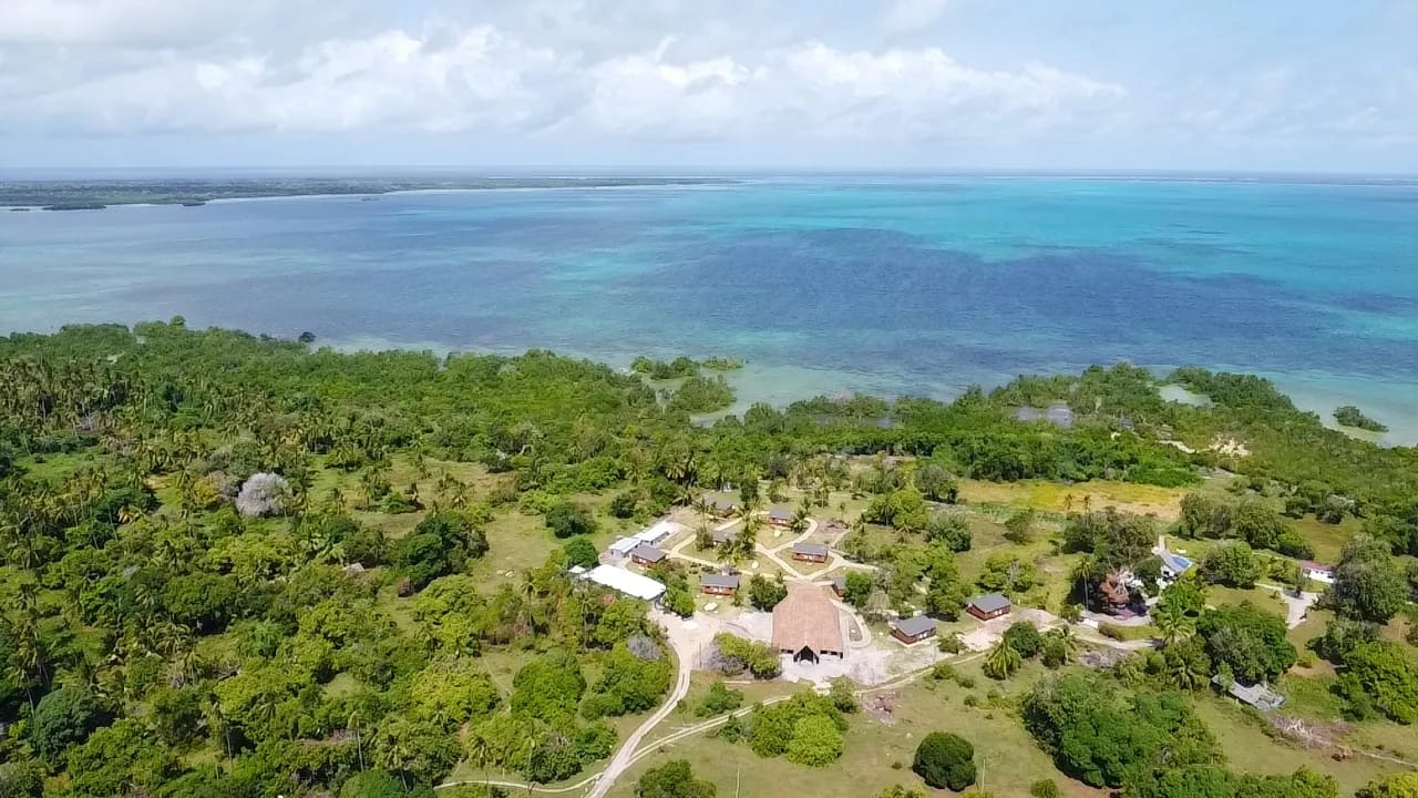 Utende Seacliff Resort -Mafia Island - image