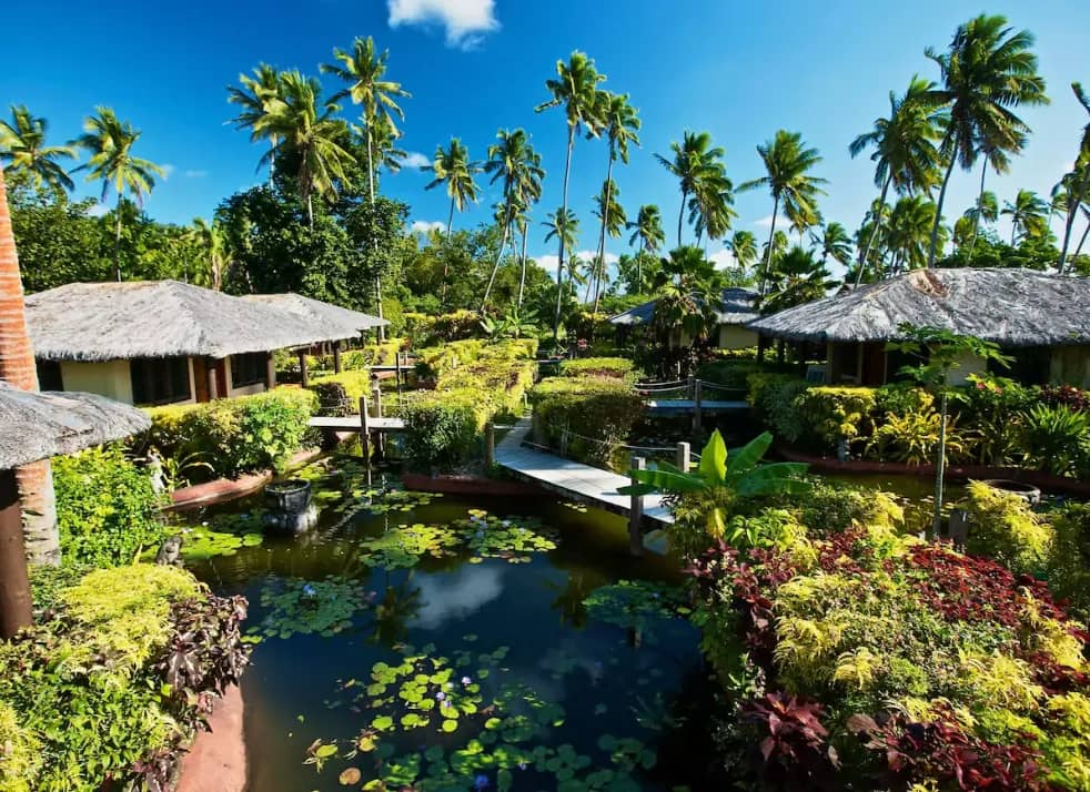 Koi Pond & Garden Bures - image Koi Pond & Garden Bures - image