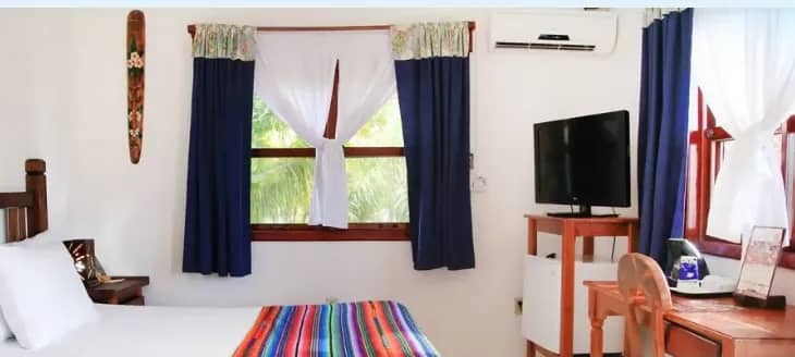 Ocean View Plus - image Ocean View Plus - image