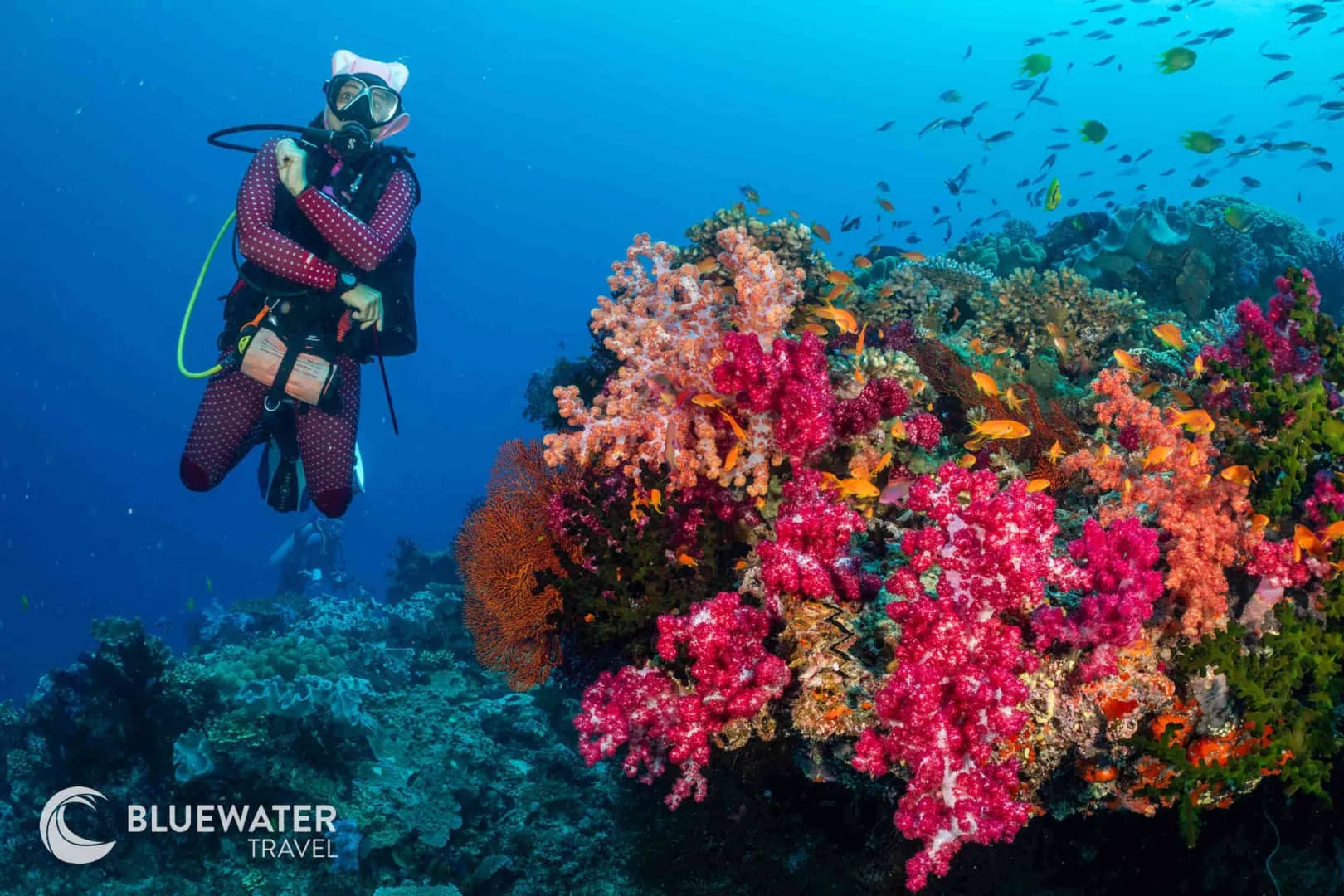 Fiji Trip Report November 2024 Fiji Trip Report November 2024