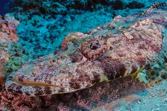 Zanzibar, Tanzania & Kenya - image Zanzibar, Tanzania & Kenya - image