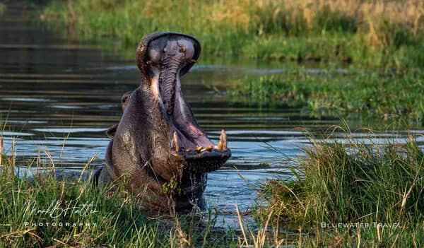 African Safaris | Land - image African Safaris | Land - image