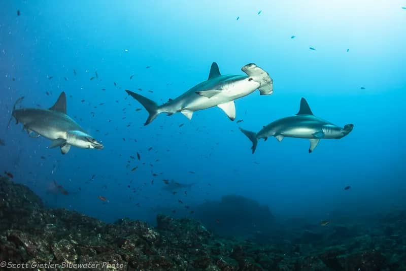 Mexico - image Mexico - image