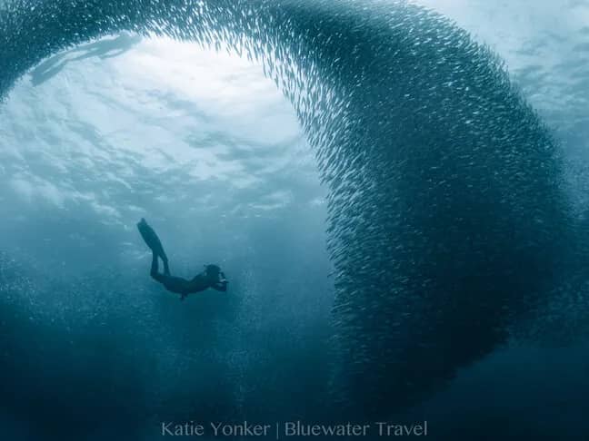 Philippines - image Philippines - image