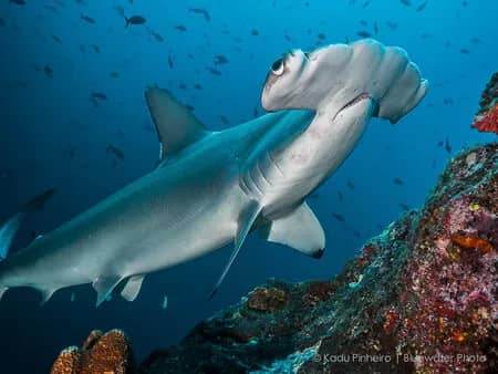 Costa Rica - image Costa Rica - image