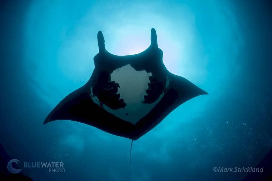 Banda Sea - image Banda Sea - image