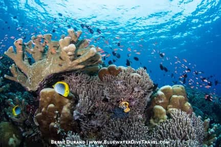 1. Manado And Bunaken 1. Manado And Bunaken