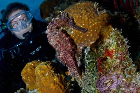 1. Bonaire 1. Bonaire