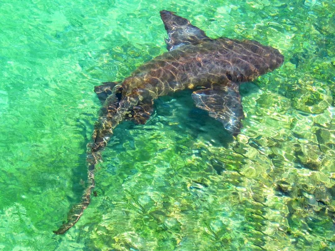 Jamaica - image Jamaica - image