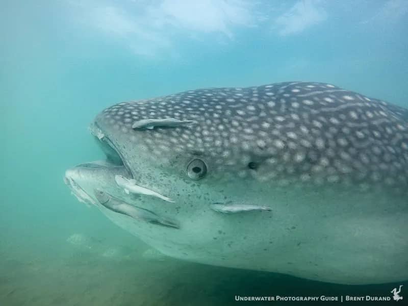 La Paz - image La Paz - image