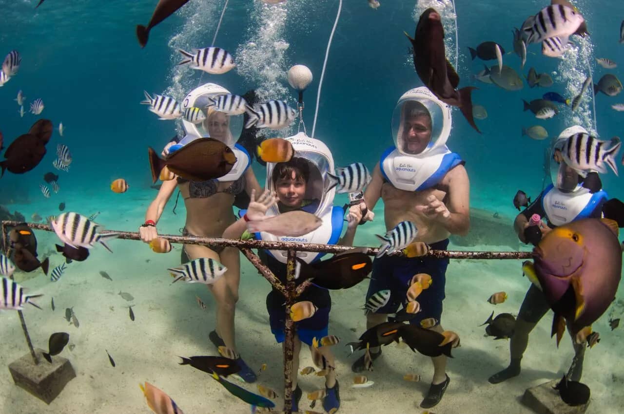 Bali Hai Diving Adventures - image Bali Hai Diving Adventures - image