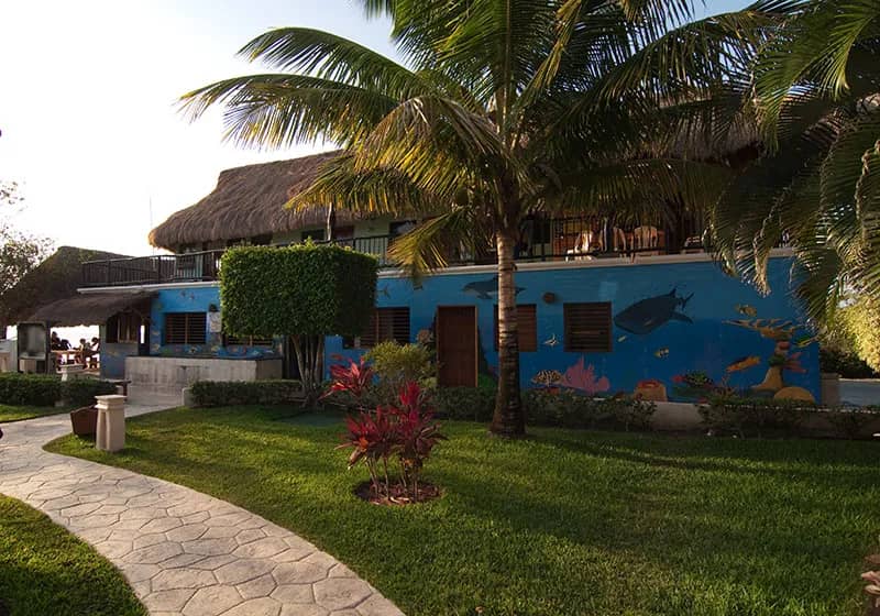 Dressel Divers Cozumel - image Dressel Divers Cozumel - image