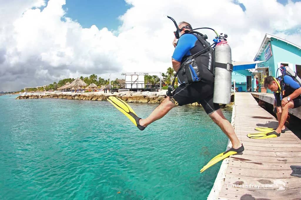 Ocean Encounters Curacao - image Ocean Encounters Curacao - image