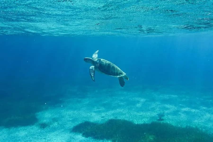 Dive Provo - image Dive Provo - image