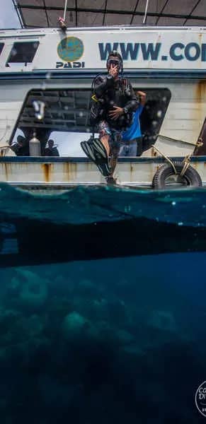 Coral Grand Divers - image Coral Grand Divers - image