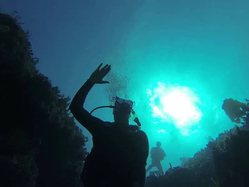 Dressel Divers Montego Bay - image Dressel Divers Montego Bay - image