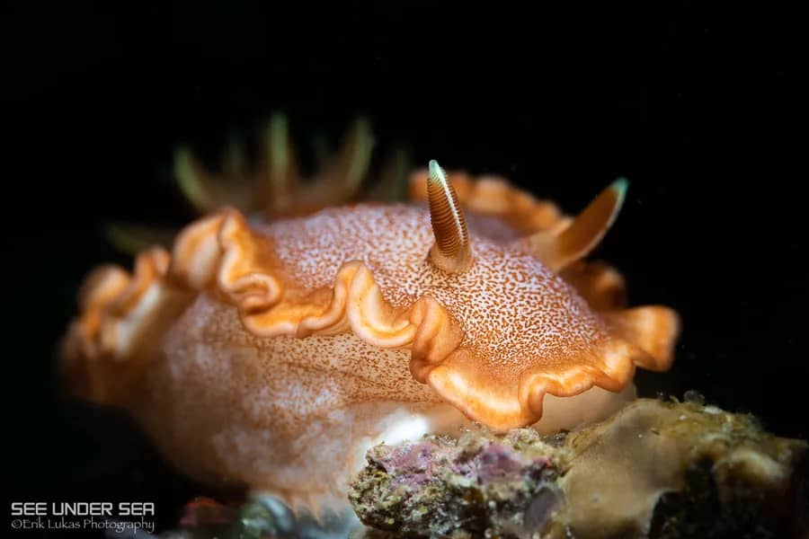 Carousel - image Carousel - image