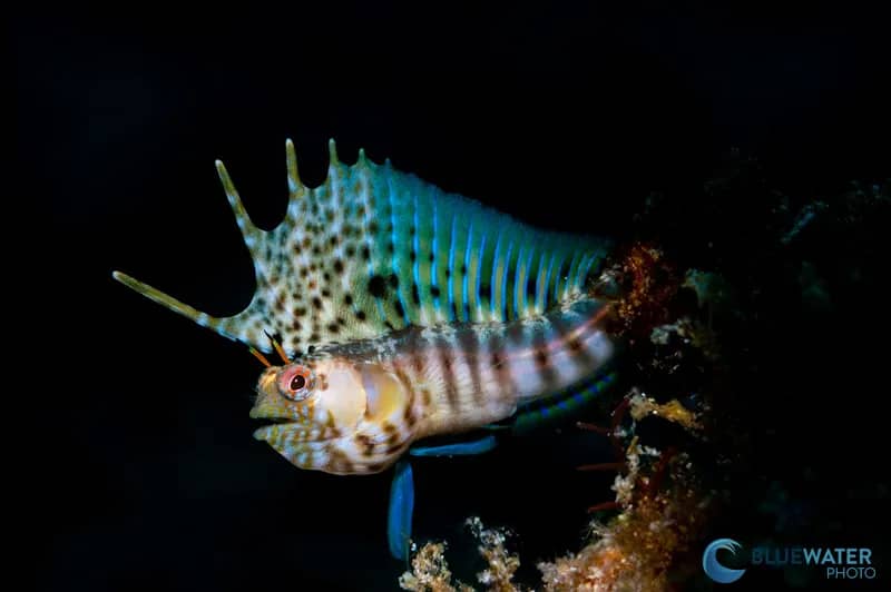 Carousel - image Carousel - image