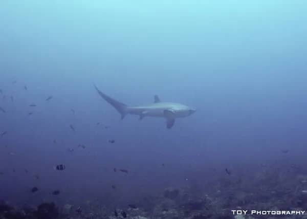 Philippines Philippines