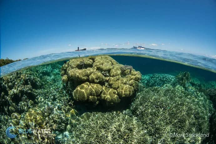 Solomon Islands Solomon Islands
