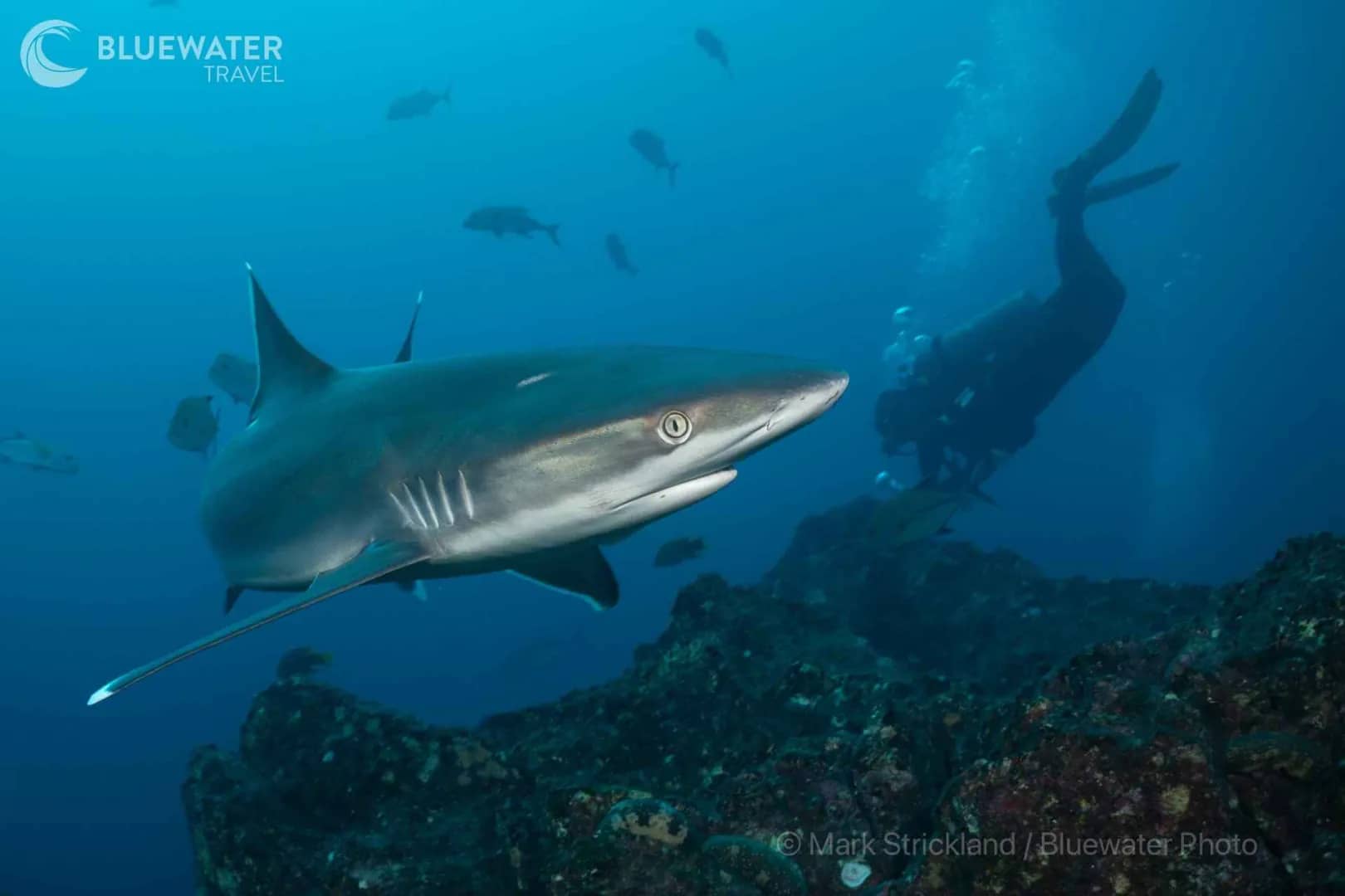 Carousel - image Carousel - image