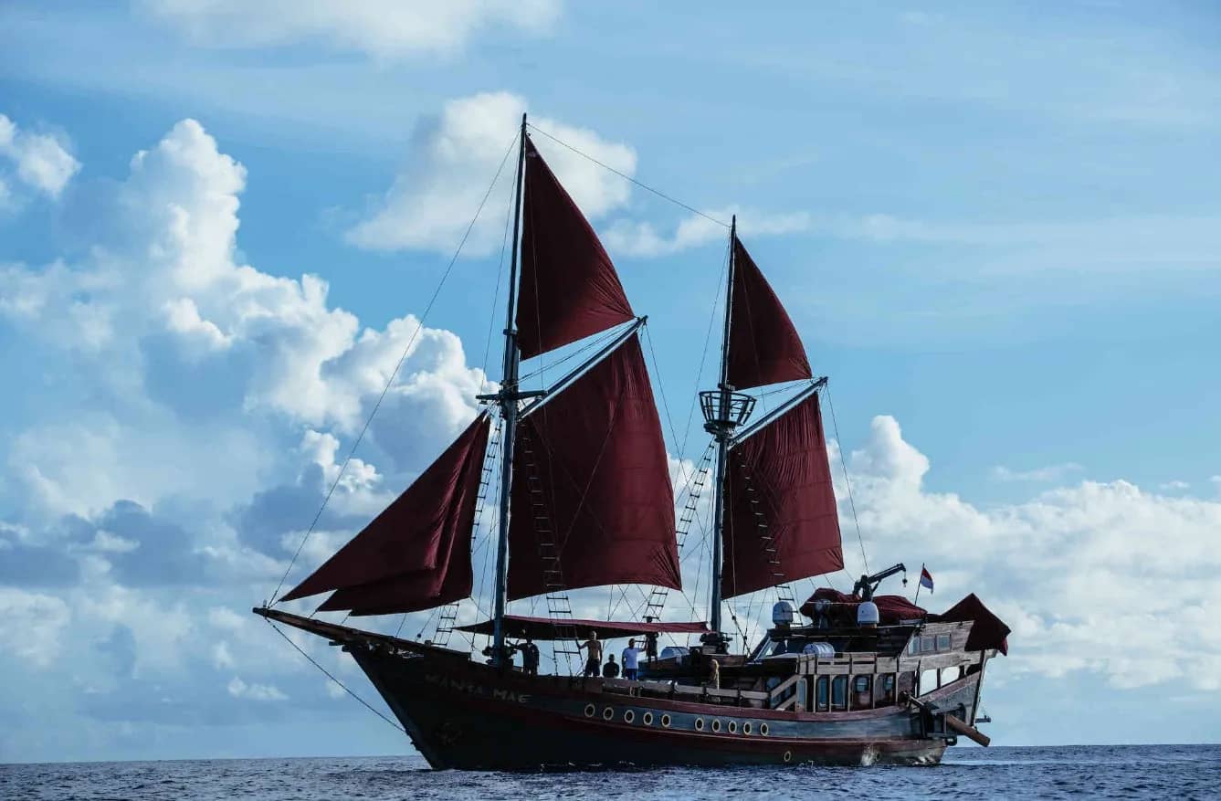 Manta Mae - image Manta Mae - image