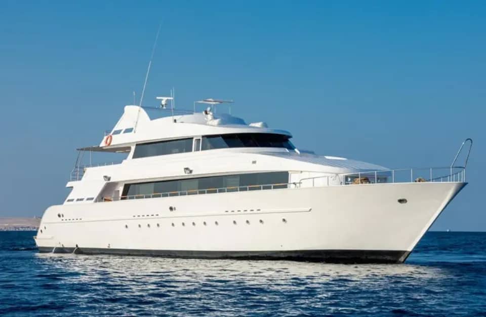 Lucy - image Lucy - image