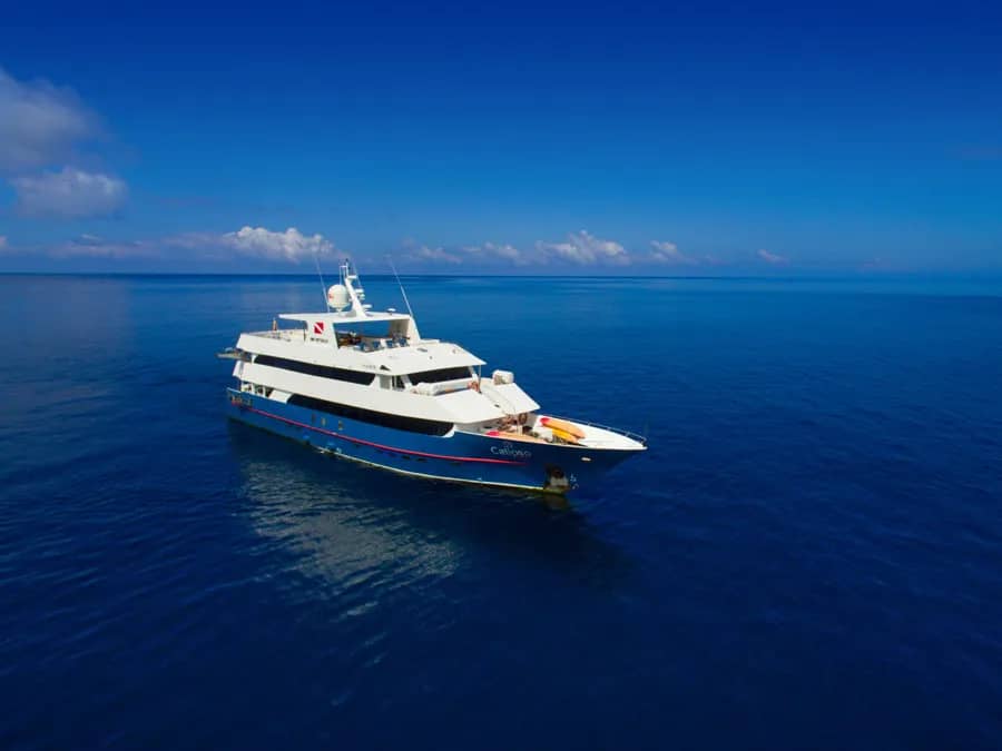 Calipso - image Calipso - image